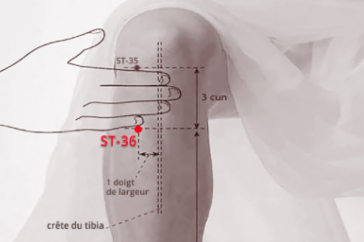 point-de-l-estomac